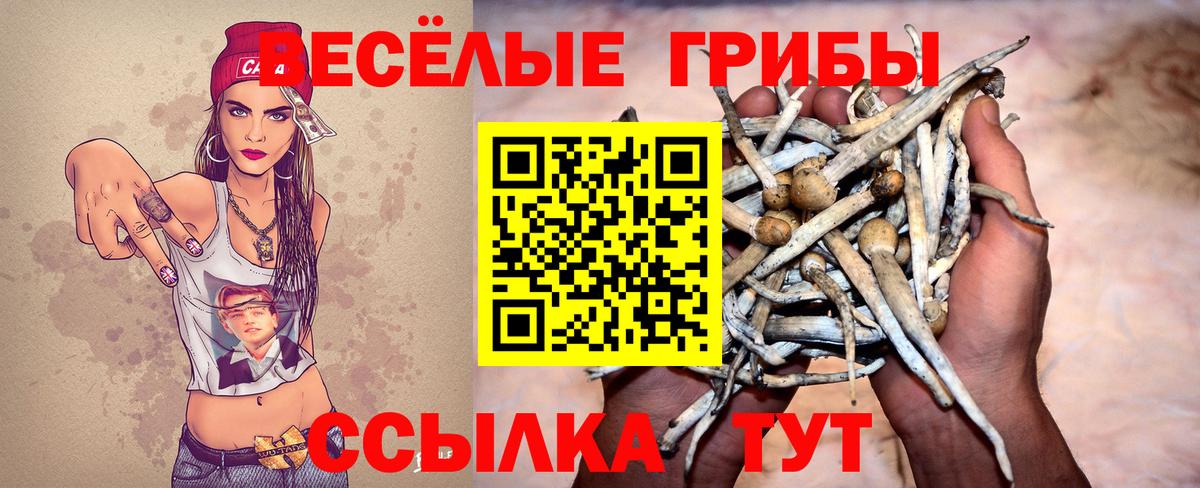 Псилоцибиновые грибы Psilocybine cubensis Ипатово