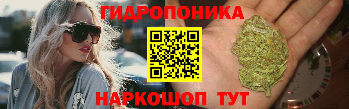 Каннабис MAZAR Ипатово